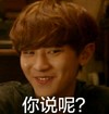 帅气 坏笑 逗比 你说呢
