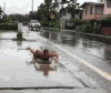 男子 搞笑 牛逼 雷人