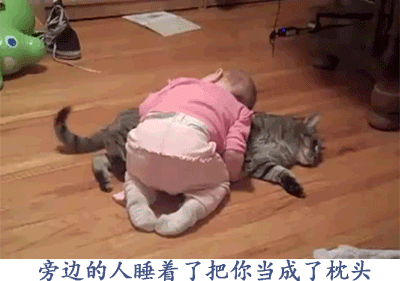 猫咪 萌娃 地板 旁边的人睡着了把你当成了枕头