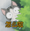 怎么啦