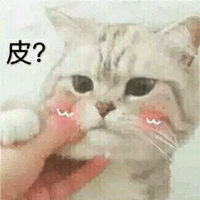 皮 猫 搞怪 可爱 呆萌