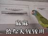 母亲节 母亲节快乐