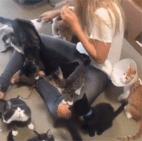 妹子 猫咪 有爱 亲亲