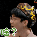 明星大侦探 白敬亭 啥 soogif soogif出品