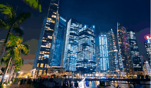 Singapore Singapore2012延时摄影 ZWEIZWEI 城市 新加坡 椰子树 灯光 高楼