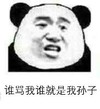 熊猫人 张学友 骂人 谁骂我谁就是我孙子