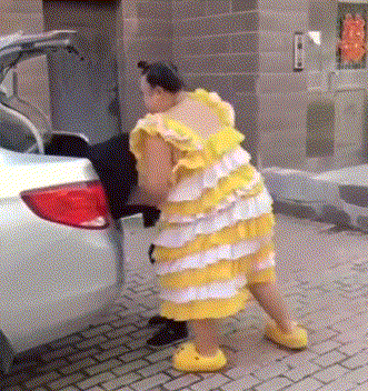 胖女人 汽车 塞进去 黄裙子