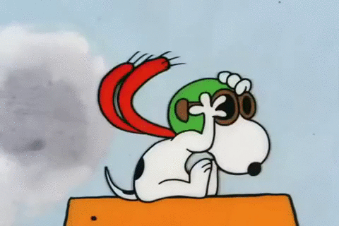 史努比 Snoopy 激动 飞