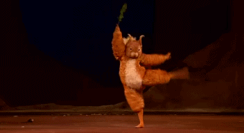 松鼠 跳舞 灵活 不如跳舞 萌 可爱 高抬腿