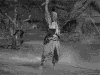 七武士 电影 古风
