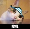 搜嘎