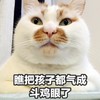 萌宠 猫星人 瞧把孩子都气成斗鸡眼了 搞怪 呆萌