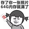 优雅的说你胖 女孩 搞笑 存了你一张照片64G内存就满了