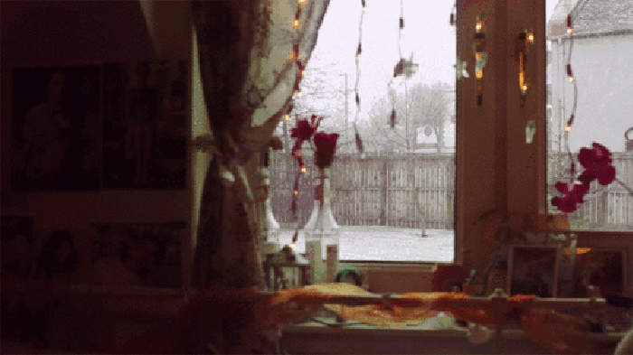 窗子 窗帘 花瓶 房间