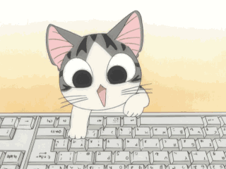 猫 敲键盘 起司猫 忙 打字