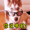 蒙圈 你说啥呢？