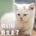 你们聊 先走了 猫