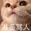 萌宠 猫星人 准备骂人 生气 呆萌 可爱