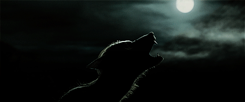 月亮 moon 月圆之夜 狼嚎