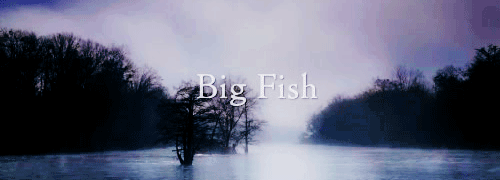自然 湖光 大鱼 Big+Fish