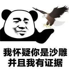 暴漫 熊猫头 我怀疑你是沙雕 而且我有证据 搞怪 逗