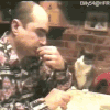 老外 猫咪 吃饭 动态