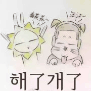 专业表情包 专用表情包