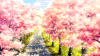 樱花 风景 唯美 动画