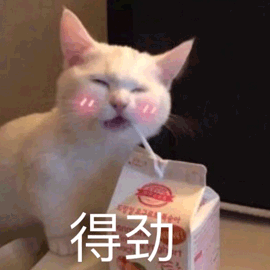 得劲 猫 开心