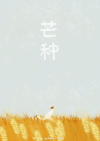 人物 奔跑 金色麦田 芒种