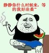 金馆长 吃西瓜 抽烟 等的我好沧桑