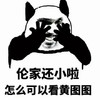 卖萌 熊猫人 伦家还小啦 怎么可以看黄图图