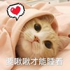 萌宠 喵星人 要啾啾才能睡着 睡不着 呆萌 可爱