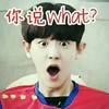 朴灿烈 你说what 搞笑 大叫