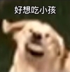 萌宠 汪星人 好想吃 小孩 搞怪 呆萌