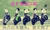 熊猫头 西乡塘翘头帮 斗图 搞笑 猥琐