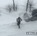 雪地 扔掉 举起 树