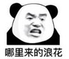 暴漫 文字表情包 哪里来的浪花 搞笑 逗 沙雕