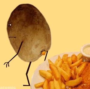 土豆 制作 薯条 french fries