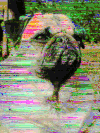 迷幻的 psychedelic 故障 哈巴狗