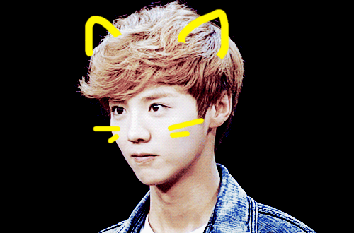 跟着我 猫 鹿晗 kpop 可爱的 跟随 exo 可爱的男孩 可爱极了 哦 EXO鹿晗 亚洲男孩 猫耳朵