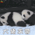 萌宠 熊猫 国宝 王者荣耀 大佬求带 soogif soogif出品