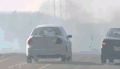 车辆 雾霾 危险 掉下去