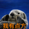 有点方 搞笑 袋鼠 可爱
