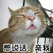 喵星人 猫咪 憋说话 亲我