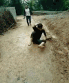 摔倒 逗比 搞笑 绿色