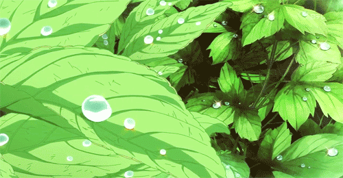叶子 水滴 绿色 神奇