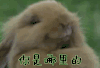 你是哪里的 你是哪儿的人 你家哪儿的