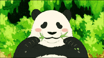 熊猫 吃东西 可爱