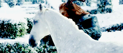 美女与野兽 白马 打雪仗 躲闪